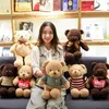 UPS Teddy Bear Plush Doll Toys 30cm زميله اللطيف اللطيف Pp Cotton Children's Toy Valentine Gift