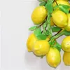 Справочные материалы Simulation Lemon String Декоративная фруктовая струна Layout Prop 461 D3