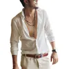 Plus Size Shirts Cotton Linen Men Shirt Long Sleeve Summer Style Hawaiian Shirts Sexy Slim Fit Men Clothes Arrival C01 220629