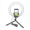 Pogra LED Selfie Ring Light 10inch PO Studio Câmera Luz com Tripé Stand para Tik Tok Tok VK YouTube Live Video Makeup C100255O