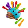 Jouets pour bébé Spielzeug Formation Grip Capacité Juguetes Didacticos Plastique Motricité Apprentissage Ressources Spike Hérisson Jouet