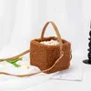 Evening bag Moda de invierno, bolso tipo cubo de piel sintética para mujer, nuevo bolso cruzado coreano con plumón de cordero Artificial, bolso elegante de felpa para mujer 20220607