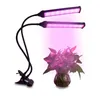 LED Grow Grow Light 20W 40W 60W 80W DC5V/12V USB Phyto 램프 식물을 제어하여 전체 스펙트럼 묘목 꽃 실내 재배 상자