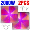 1000Wフルスペクトル屋内LED成長ランプランプ2PCS栽培ライトテントフィトランピフィトUV IRレッドブルー225 LEDフラワープラント285Z