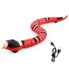 Smart Sensing Snake Interactive Cat Toys Automatisch speelgoed voor CATS USB -oplaadaccessoires Kitten Toys voor huisdierhonden Game Play Toy 220510