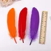 50pcs/1 Pack Goose Feather 15-20cm Festival Feather Wedding Decoration Party Table Decorations Mask DIY Colorful Feathers BH7019 TYJ
