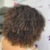 Ombre Brown Kinky Curly V Part Wigs Virgin Unprocessed 100% Human Hair Glueless Highlight Blonde Water Wave Side U Shape Full Machine Made Full End