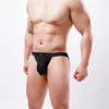 Sous-vêtements élastiques pour hommes, sous-vêtements taille basse, slips en nylon sexy pour hommes
