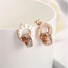 Charm Trendy Unisex Punk Rock Style Safety Pin Ear Hook Stud Earrings Exquisite Jewelry Gift for Women Men GC1171