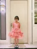 Summer Girls Dress Tops Children Barn Girl Bow Princess Dresses Baby Fashion Children Party Clothing3491184