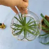 Dekorativa blommor kransar konstgjorda luftgräs Tillandsia Green Plant Mini Home Decoration PlasticDecorative