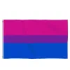 DHL Gay Flag 90x150cm Rainbow Things Duma biseksualna lesbijska panieńska flagi LGBT