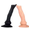 Nxy Anal Toys 3 Sizes Thick Screw Penis Plug Masturbation Anus Expander Sucker Simulation Soft Flesh Dildo Prostate Massage Adult Product 220420