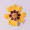 زهور الزهور الزهور مجفف الزهرة coreopsis basalis diy التنقيط غراء مضغوط فن الظفر