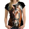 القمصان للرجال 2022 Fashion Summer Animal Horse Print 3D طباعة الذكور/الإناث تي شيرت الشخصية الرياضية البرية ذات الأكمام القصيرة ذات الحجم الكبير