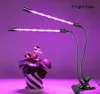 5V USB LED Grow Light Vollspektrum Dimmbar Clip-on Fitolampy Timer Phyto Lampe Zimmergewächshaus Kohlefilter Indoor-Gartenarbeit