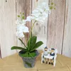 Couronnes De Fleurs Décoratives 1 Pcs 2 Têtes De Fleurs Artificielles Phalaenopsis Faux Tissu De Soie Papillon Orchidée En Pot Décoration De Fête À La Maison Quatre