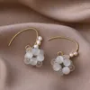 Dangle & Chandelier 2022 Korean Opal Stone Ball Freshwater Pearl Earrings For Women Fashion Jewelry Grape Shape Oorbellen Brincos