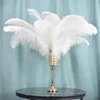 natural white ostrich feather