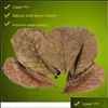 오탈몬드 잎 청소 그녀의 수족관 어류 수족관 애완 동물 용품 홈 정원 Natura9136504
