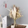 1 set di fiori secchi erba di pampa naturale decorazioni per la casa bouquet da sposa piante di canne Phragmites decorazione natalizia