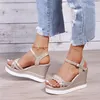 Women Summer Wedge Heel Sandals Platform Sandals Strap Open Toe Chunky Bottom Casual Shoes gold silver pink sandals 10cm 220516