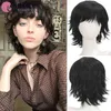 Parrucche sintetiche per capelli da donna Ailiade corte ricci per uomo Parrucca resistente al calore nera marrone Cosplay Party Halloween Falso quotidiano 0527