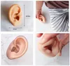 Factory Ear Care Supply Soft Silicone Ear Model Flexible Mold for Piercing Practice Jewelry Display Rubber