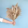 Fleurs décoratives couronnes 30pcs Pampas séchés naturels Bouquet de fleur de fleur Boho Po Decor Home For Party Wedding Fleur Sechee235E