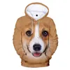 Moletom moletons masculinos masculinos de elefante elefante tigre orangotango 3d Casual Mulher Animal Sweatshirt