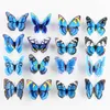 جدار ديكور 3D سندريلا الفراشة الزخرفة ملصقات الجدار 12 PC Butterflies PVC ملصق الجدران القابلة للإزالة 223 K2