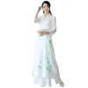 Chinese style stage wear women Asian folk dance costumes Guzheng performance clothing classical elegant fancy party dress