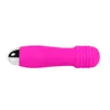 Sex Toys Masager Massager Toys Vibrator G-Punkt Fun Produkty dla kobiet Masturbacja Urządzenia Silikonowe mini U30k