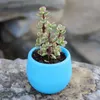 Colourful Round Plastic Plant Flower Pot Planter Garden Bed Home Office Decor Planter Desktop Pots