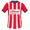 22 23 Chivas Guadalajara I. BRIZUELA voetbalshirts voor heren 2022 2023 G. SEPULVEDA A. VEGA J. ANGULO F. BELTRAN L. OLIVAS J. MOLINA M. PONCE thuis uit voetbalshirts