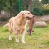 Jouets pour animaux de compagnie mignon chien chat en peluche couinement son chien jouets drôle polaire durabilité jouet à mâcher adapté à tous les animaux de compagnie