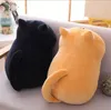 Peluche chat à gros yeux doux, jouet animaux, quatre couleurs, chats mignons, taille 25-35-50cm, oreiller de couchage pour enfants