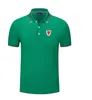 Wales National Men's and women's POLO shirt silk brocade short sleeve sports lapel T-shirt LOGO can be customized