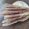 Декоративные цветы венки натуральные сушеные тростники пампас пшеница уши хвост