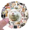 50PCS Kawaii Leuke Kat Auto Stickers Voor Kinderen Koffer Briefpapier Koelkast Waterfles Gitaar Laptop Bagage Decal5533470