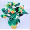 100pcs anthurium 씨앗 호기성 화분 방사선 보호 빠른 재배 식기 시즌 다양한 색상 정화 공기를 흡수하는 유해 가스 정원 용품