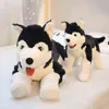 PC CM Simulation Husky Plush Toy محشوة ناعمًا جميلًا واقعية واقعية للحيوانات دمى وسادة للأطفال أولاد هدية عيد ميلاد J220704