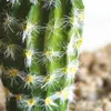 Dekorativa blommor kransar simulering kaktus realistiska saftiga växter konstgjord plast öken för hem skrivbord landskap dekoration su