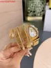 21 22 Doublewrap -stil med starka exotiska ormshaped Watch Fashion Charm Women AccSory Watch219y6036700