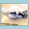 Toys de gato suprimentos Catnip de jardim de animais de estimação para Simation Fish Fish Kitten Cushion Borta Cresce