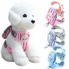 Fashionable Bear Design Dog Harnesses and Leashes Set with Snack Bag Soft Mesh Dog Harness Pet Comfort Padded Vest for Small Dogs Cat Chihuahua Poodle Wholesale B76
