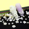 200pcs Kits de fleurs à ongles acryliques Taille avec petite décoration en acier Decoration Art Fournisseur Dropshipping 3D Nails Sticker