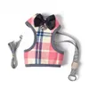 Ensemble harnais et laisse pour petit chien Harnais sans traction pour animaux de compagnie avec gilet en nylon à mailles souples pour petits chiens chats