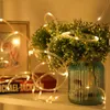 Strings 5m/10m 50/100LED Battery Powered Bendable Tube String Light Lamps Christmas Wedding Decor Supplies With Remote ControlLED LED