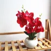 Flores decorativas grinaldas um conjunto Orquídea de borboleta artificial Plantas de suculentas em vasa de origem do jardim doméstico Decoração de varanda